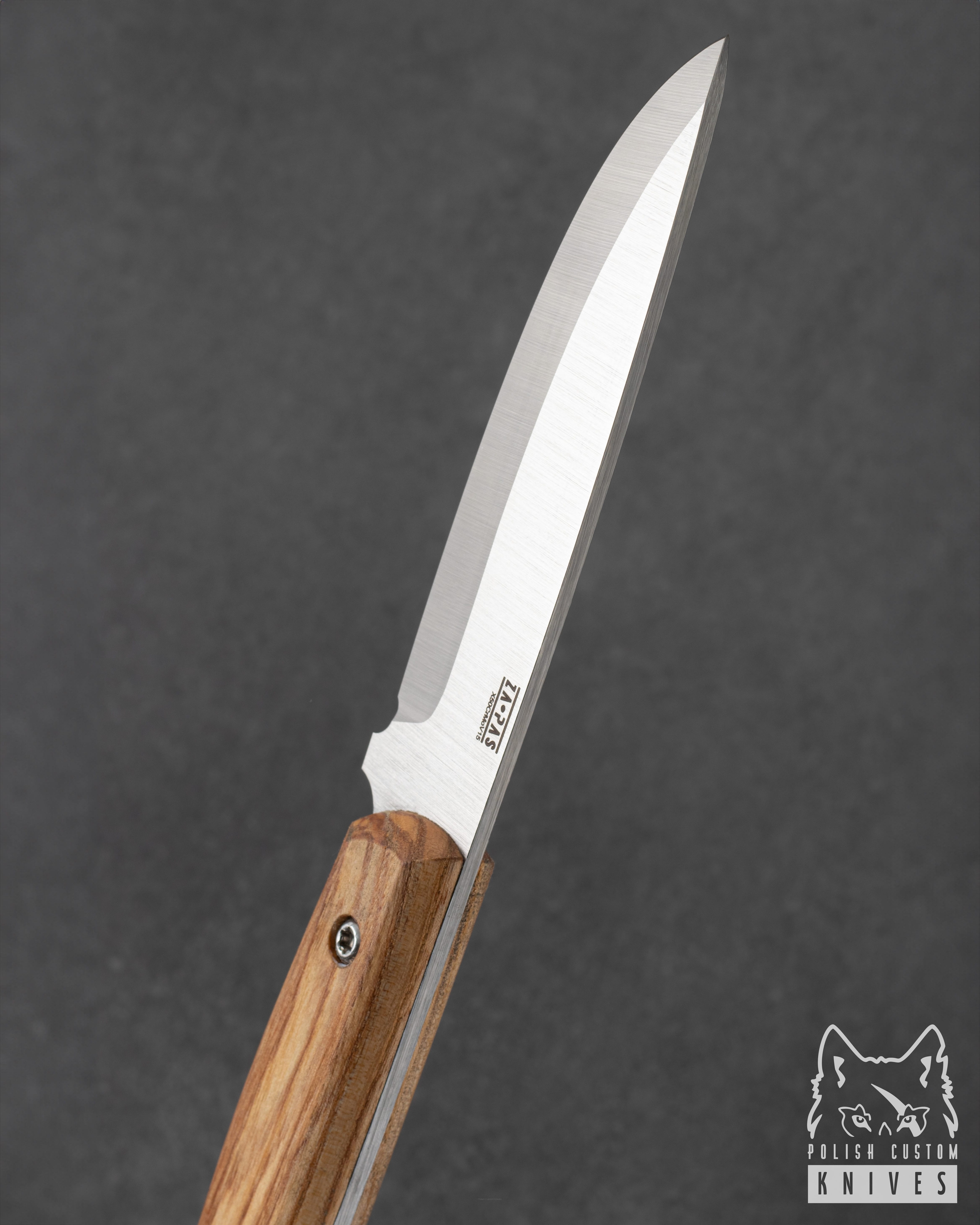 Buy SURVIVAL KNIFE EXPLORER 2 X50CrMoV15 ASH WOOD ZAPAS KNIVES
