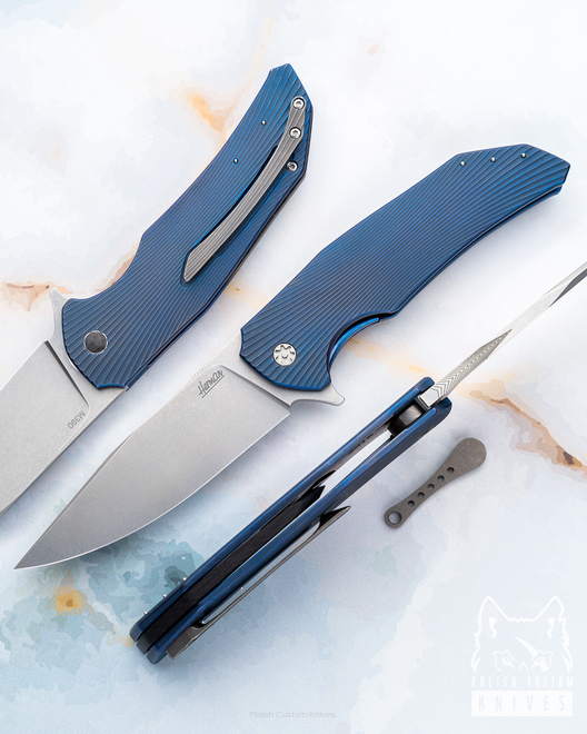 FOLDING KNIFE DRAGONFLY 26 M390 HERMAN