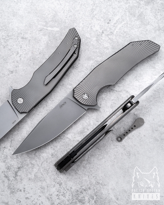 FOLDING KNIFE DRAGONFLY 6 M390