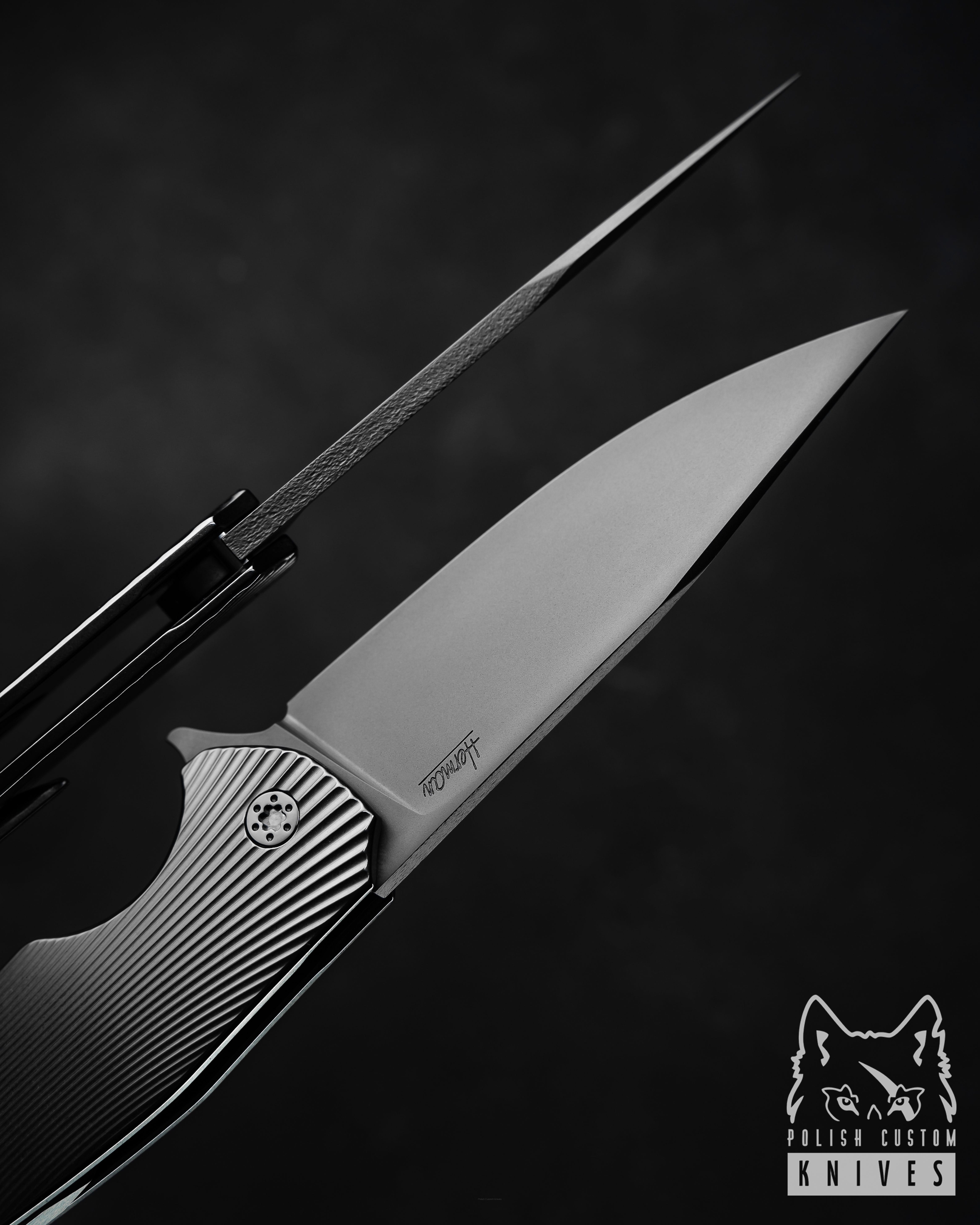 Buy FOLDING KNIFE FOLDER DRAGONFLY 174 M390 DLC HERMAN