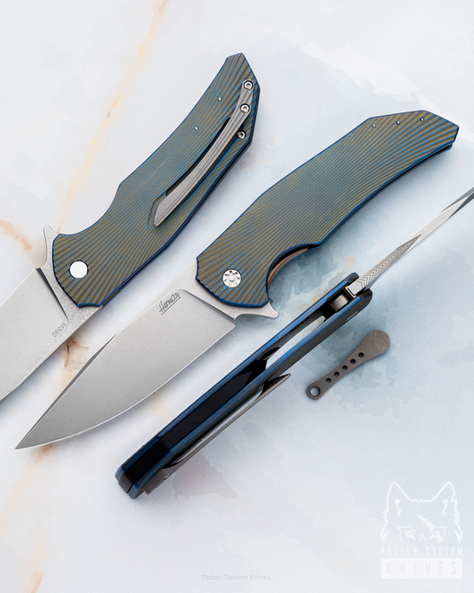 FOLDING KNIFE DRAGONFLY 31 M390